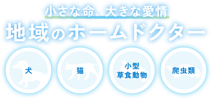 小さな命、大きな愛情 地域のホームドクター 犬 猫 小型草食動物 爬虫類